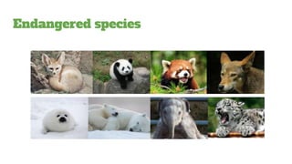 Endangered species
 