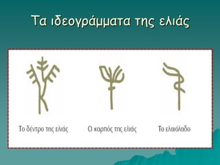 Τα ιδεογράμματα της ελιάς
 