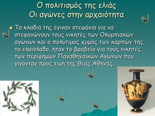  Τα κλαδιά της έγιναν στεφάνια για να
στεφανώνουν τους νικητές των Ολυμπιακών
αγώνων και ο πολύτιμος χυμός των καρπών της,
το ελαιόλαδο, ήταν το βραβείο για τους νικητές
των περίφημων Παναθηναϊκών Αγώνων που
γίνονταν προς τιμή της θεάς Αθηνάς.
Ο πολιτισμός της ελιάς
Οι αγώνες στην αρχαιότητα
 