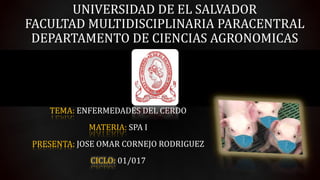 UNIVERSIDAD DE EL SALVADOR
FACULTAD MULTIDISCIPLINARIA PARACENTRAL
DEPARTAMENTO DE CIENCIAS AGRONOMICAS
TEMA: ENFERMEDADES DEL CERDO
MATERIA: SPA I
PRESENTA: JOSE OMAR CORNEJO RODRIGUEZ
CICLO: 01/017
 
