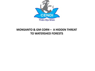 MONSANTO & GM CORN – A HIDDEN THREAT
TO WATERSHED FORESTS
 