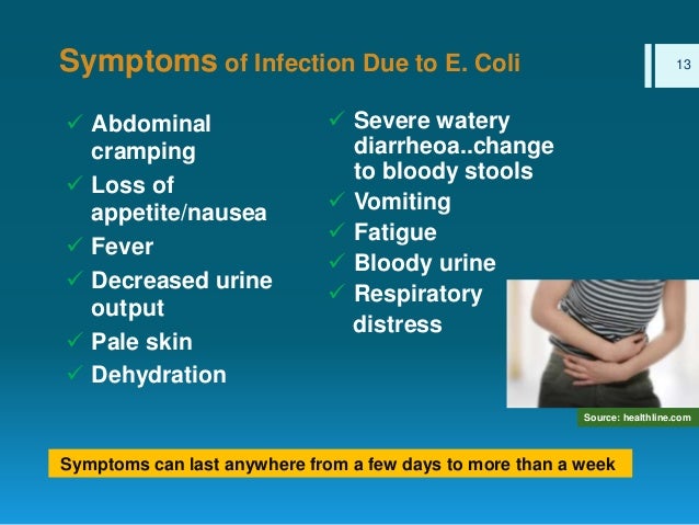 E Coli In Bharatpur Nepal E Coli In Bharatpur Nepal