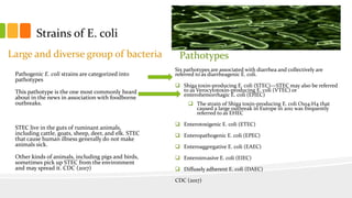 Foodborne Outbreak - E.coli