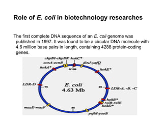 The first complete DNA sequence of an E. coli genome was
published in 1997. It was found to be a circular DNA molecule with
4.6 million base pairs in length, containing 4288 protein-coding
genes.
Role of E. coli in biotechnology researches
 