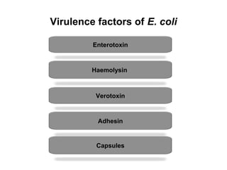 Virulence factors of E. coli
Enterotoxin
Haemolysin
Verotoxin
Adhesin
Capsules
 