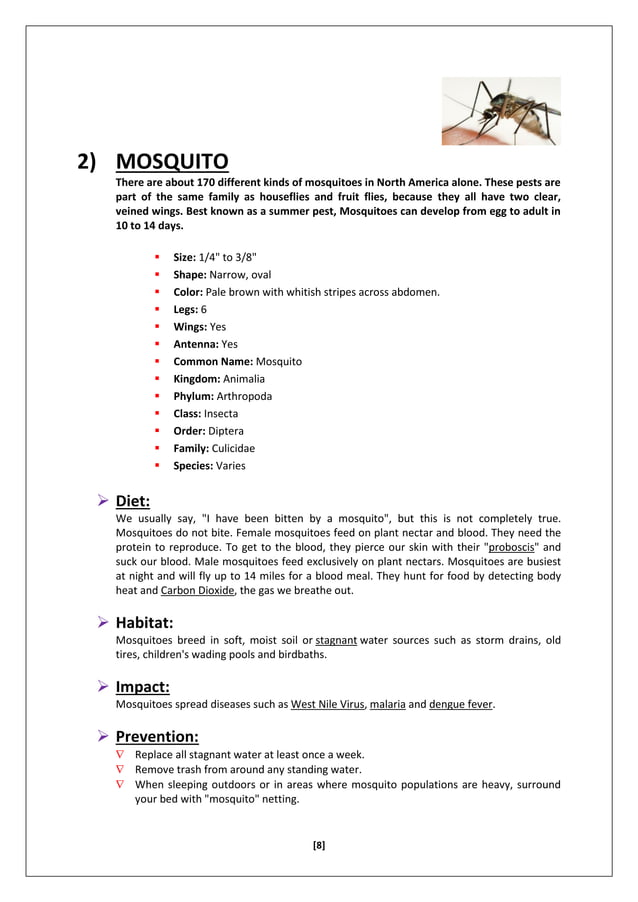 evs project on study of birds,insects and plants | PDF | Birdwatching ...