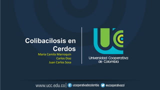 Colibacilosis en
Cerdos
Maria Camila Marroquin
Carlos Diaz
Juan Carlos Sosa
 