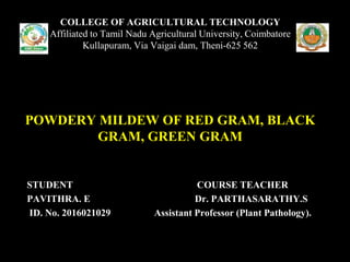 STUDENT COURSE TEACHER
PAVITHRA. E Dr. PARTHASARATHY.S
ID. No. 2016021029 Assistant Professor (Plant Pathology).
COLLEGE OF AGRICULTURAL TECHNOLOGY
Affiliated to Tamil Nadu Agricultural University, Coimbatore
Kullapuram, Via Vaigai dam, Theni-625 562
POWDERY MILDEW OF RED GRAM, BLACK
GRAM, GREEN GRAM
 