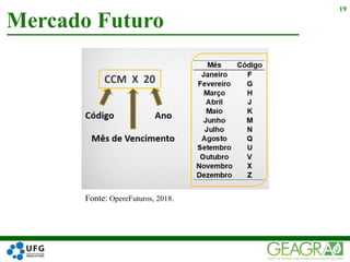 Mercado Futuro
19
Fonte: OpereFuturos, 2018.
 
