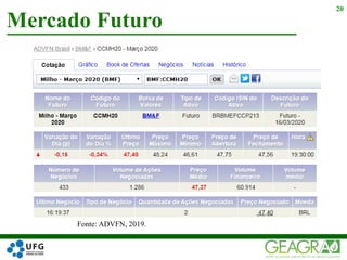 Mercado Futuro
20
Fonte: ADVFN, 2019.
 