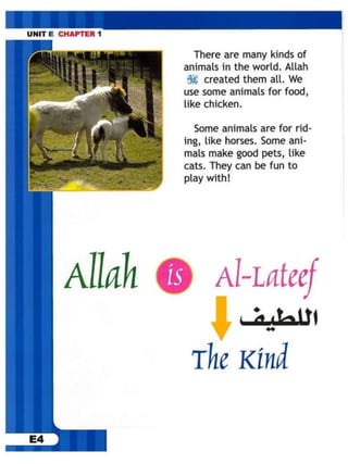 E 1 (allah loves kindness)