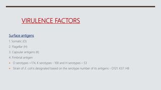 VIRULENCE FACTORS
Surface antigens
1. Somatic (O)
2. Flagellar (H)
3. Capsular antigens (K)
4. Fimbrial antigen
 O serotypes >174, K serotypes - 100 and H serotypes – 53
 Strain of E. coli is designated based on the serotype number of its antigens - O121: K37: H8
 
