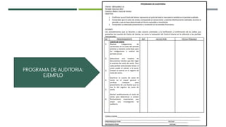 PROGRAMA DE AUDITORIA:
EJEMPLO
 