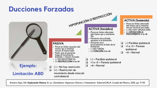 Ducciones Forzadas
Romero-Apis, DA. Exploración Motora. En su: Estrabismo: Aspectos Clínicos y Tratamiento. Editorial DALA. Ciudad de México, 2010, pp. 71-101.
PASIVA
• Pinza en limbo opuesto del
mismo ojo e intentar
mover al mismo lado
• Pedir que el paciente
haga el movimiento
limitado + intento forzado
• (-) NO RESISTENCIA
• (+) RESTRICCIÓN +1 a +4
ACTIVA (Sacádica)
• Pinza en limbo afectado
del mismo ojo y mantener
fijo
• Paciente mira al lado
opuesto a la limitación
• Paciente mira
bruscamente al lado de la
limitación
• (-) NO TIRÓN
• (+) FUNCIÓN +1 a +4
ACTIVA (Sostenida)
• Pinza en limbo afectado
del mismo ojo e intentar
mover hacia el otro lado
• (-) NO HAY OPOSICIÓN
• (+) OPOSICIÓN A
MOVIMIENTO +1 a +4
 (-) = No hay restricción
 (+) = Restricción de
movimiento desde músculo
contralateral
 (-) = Parálisis ipsilateral
 +1 a +3 = Paresia ipsilateral
 +4 = Normal
 (-) Parálisis ipsilateral
 +1 a +3 = Paresia
ipsilateral
 +4 = Normal
Ejemplo:
Limitación ABD
 