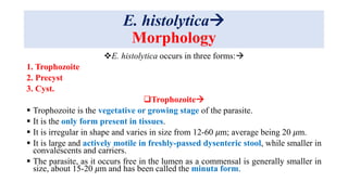 E. histolytica
Morphology
E. histolytica occurs in three forms:
1. Trophozoite
2. Precyst
3. Cyst.
Trophozoite
 Trophozoite is the vegetative or growing stage of the parasite.
 It is the only form present in tissues.
 It is irregular in shape and varies in size from 12-60 𝜇m; average being 20 𝜇m.
 It is large and actively motile in freshly-passed dysenteric stool, while smaller in
convalescents and carriers.
 The parasite, as it occurs free in the lumen as a commensal is generally smaller in
size, about 15-20 𝜇m and has been called the minuta form.
 