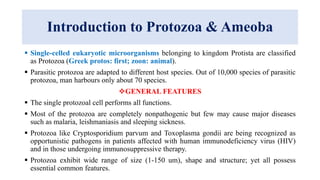 Introduction to Protozoa & Ameoba
 Single-celled eukaryotic microorganisms belonging to kingdom Protista are classified
as Protozoa (Greek protos: first; zoon: animal).
 Parasitic protozoa are adapted to different host species. Out of 10,000 species of parasitic
protozoa, man harbours only about 70 species.
GENERAL FEATURES
 The single protozoal cell performs all functions.
 Most of the protozoa are completely nonpathogenic but few may cause major diseases
such as malaria, leishmaniasis and sleeping sickness.
 Protozoa like Cryptosporidium parvum and Toxoplasma gondii are being recognized as
opportunistic pathogens in patients affected with human immunodeficiency virus (HIV)
and in those undergoing immunosuppressive therapy.
 Protozoa exhibit wide range of size (1-150 um), shape and structure; yet all possess
essential common features.
 
