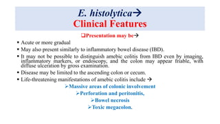 E. histolytica
Clinical Features
Presentation may be
 Acute or more gradual
 May also present similarly to inflammatory bowel disease (IBD).
 It may not be possible to distinguish amebic colitis from IBD even by imaging,
inflammatory markers, or endoscopy, and the colon may appear friable, with
diffuse ulceration by gross examination.
 Disease may be limited to the ascending colon or cecum.
 Life-threatening manifestations of amebic colitis include 
Massive areas of colonic involvement
Perforation and peritonitis,
Bowel necrosis
Toxic megacolon.
 