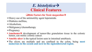 E. histolytica
Clinical Features
Risk Factors for Toxic megacolon
☞Heavy use of the antimotility agent loperamide.
☞Diabetes mellitus,
☞Alcoholism,
☞Malignancy/chemotherapy
☞Pregnancy
 Ameboma development of tumor-like granulation tissue in the colonic
lumen, can mimic colonic cancer.
 Amebic ulcer is the typical lesion seen in intestinal amebiasis.
 The ulcers are multiple and are confined to the colon, being most
numerous in the cecum and next in the sigmoidorectal region.
 
