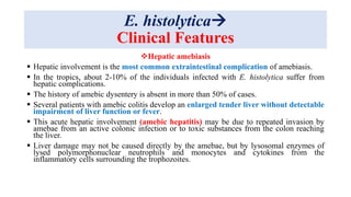 E. histolytica
Clinical Features
Hepatic amebiasis
 Hepatic involvement is the most common extraintestinal complication of amebiasis.
 In the tropics, about 2-10% of the individuals infected with E. histolytica suffer from
hepatic complications.
 The history of amebic dysentery is absent in more than 50% of cases.
 Several patients with amebic colitis develop an enlarged tender liver without detectable
impairment of liver function or fever.
 This acute hepatic involvement (amebic hepatitis) may be due to repeated invasion by
amebae from an active colonic infection or to toxic substances from the colon reaching
the liver.
 Liver damage may not be caused directly by the amebae, but by lysosomal enzymes of
lysed polymorphonuclear neutrophils and monocytes and cytokines from the
inflammatory cells surrounding the trophozoites.
 