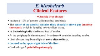 E. histolytica
Clinical Features
Amebic liver abscess
 In about 5-10% of persons with intestinal amebiasis.
 The center of the abscess contains thick chocolate brown pus (anchovy
sauce pus), which is liquefied necrotic liver tissue.
 Its bacteriologically sterile and free of ameba.
 At the periphery almost normal liver tissue contains invading ameba.
 Liver abscess may be multiple or more often solitary,
 Located in the upper right lobe of the liver.
 Cardinal sign painful hepatomegaly.
 