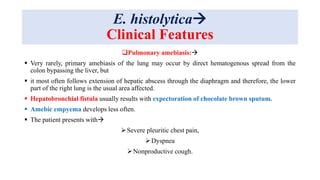 E. histolytica
Clinical Features
Pulmonary amebiasis:
 Very rarely, primary amebiasis of the lung may occur by direct hematogenous spread from the
colon bypassing the liver, but
 it most often follows extension of hepatic abscess through the diaphragm and therefore, the lower
part of the right lung is the usual area affected.
 Hepatobronchial fistula usually results with expectoration of chocolate brown sputum.
 Amebic empyema develops less often.
 The patient presents with
Severe pleuritic chest pain,
Dyspnea
Nonproductive cough.
 