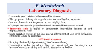 E. histolytica
Laboratory Diagnosis
 Nucleus is clearly visible with a central karyosome.
 The cytoplasm of the cystic stage shows smooth and hyaline appearance.
 Nuclear chromatin and karyosome appear bright yellow.
 Glycogen masses stain golden brown and chromatoid bars are not stained.
 Trichrome stain is useful to demonstrate intracellular features of both
trophozoites and cysts.
 Since excretion of cysts in the stool is often intermittent, at least three consecutive
specimens should be examined.
Mucosal scrapings
 Scraping obtained by sigmoidoscopy is often contributory.
 Examination method includes a direct wet mount and iron hematoxylin and
immunofluorescent staining with anti-E. histolytica antibodies.
 
