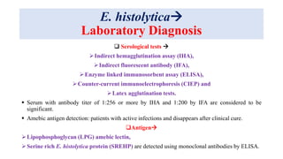 E. histolytica
Laboratory Diagnosis
 Serological tests 
Indirect hemagglutination assay (IHA),
Indirect fluorescent antibody (IFA),
Enzyme linked immunosorbent assay (ELISA),
Counter-current immunoelectrophoresis (CIEP) and
Latex agglutination tests.
 Serum with antibody titer of 1:256 or more by IHA and 1:200 by IFA are considered to be
significant.
 Amebic antigen detection: patients with active infections and disappears after clinical cure.
Antigen
Lipophosphoglycan (LPG) amebic lectin,
Serine rich E. histolytica protein (SREHP) are detected using monoclonal antibodies by ELISA.
 