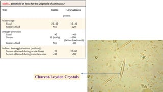 Charcot-Leyden Crystals
 