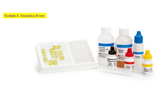 Techlab E. histolytica II test
 