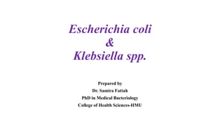 Escherichia coli
&
Klebsiella spp.
Prepared by
Dr. Samira Fattah
PhD in Medical Bacteriology
College of Health Sciences-HMU
 