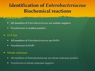 Identification of Enterobacteriaceae
Biochemical reactions
 Oxidase test
 All members of Enterobacteriaceae are oxidase negative
 Pseudomonas is oxidase positive
 O/F test
 All members of Enterobacteriaceae are O+/F+
 Pseudomonas is O+/F-
 Nitrate reductase
 All members of Enterobacteriaceae are nitrate reductase positive
 Pseudomonas is nitrate reductase negative
 