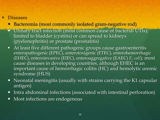  Diseases
 Bacteremia (most commonly isolated gram-negative rod)
 Urinary tract infection (most common cause of bacterial UTIs);
limited to bladder (cystitis) or can spread to kidneys
(pyelonephritis) or prostate (prostatitis)
 At least five different pathogenic groups cause gastroenteritis
enteropathogenic (EPEC), enterotoxigenic (ETEC), enterohemorrhagic
(EHEC), enteroinvasive (EIEC), enteroaggregative (EAEC) E. coli); most
cause diseases in developing countries, although EHEC is an
important cause of hemorrhagic colitis (HC) and hemolytic uremic
syndrome (HUS)
 Neonatal meningitis (usually with strains carrying the K1 capsular
antigen)
 Intra abdominal infections (associated with intestinal perforation)
 Most infections are endogenous
14
 