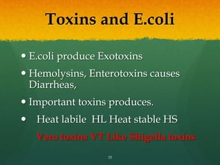 Toxins and E.coli
 E.coli produce Exotoxins
 Hemolysins, Enterotoxins causes
Diarrheas,
 Important toxins produces.
 Heat labile HL Heat stable HS
Vero toxins VT Like Shigella toxins
15
 