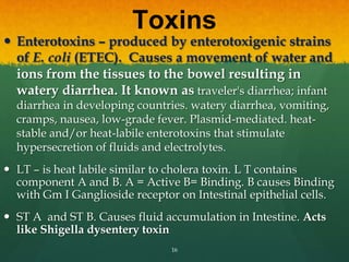 Toxins
 Enterotoxins – produced by enterotoxigenic strains
of E. coli (ETEC). Causes a movement of water and
ions from the tissues to the bowel resulting in
watery diarrhea. It known as traveler's diarrhea; infant
diarrhea in developing countries. watery diarrhea, vomiting,
cramps, nausea, low-grade fever. Plasmid-mediated. heat-
stable and/or heat-labile enterotoxins that stimulate
hypersecretion of fluids and electrolytes.
 LT – is heat labile similar to cholera toxin. L T contains
component A and B. A = Active B= Binding. B causes Binding
with Gm I Ganglioside receptor on Intestinal epithelial cells.
 ST A and ST B. Causes fluid accumulation in Intestine. Acts
like Shigella dysentery toxin
16
 