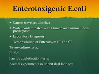 Enterotoxigenic E.coli
 Causes travelers diarrhea
 Water contaminated with Human and Animal feces
predisposes.
 Laboratory Diagnosis
Demonstration of Enterotoxin LT and ST
Tissue culture tests,
ELISA
Passive agglutination tests.
Animal experiments in Rabbit ileal loop test.
18
 