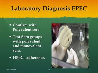 Laboratory Diagnosis EPEC
 Confirm with
Polyvalent sera
 Test Sero groups
with polyvalent
and monovalent
sera.
 HEp2 – adherence.
Dr.T.V.Rao MD 23
 