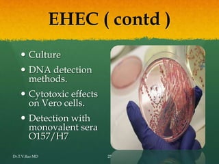 EHEC ( contd )
 Culture
 DNA detection
methods.
 Cytotoxic effects
on Vero cells.
 Detection with
monovalent sera
O157/H7
Dr.T.V.Rao MD 27
 