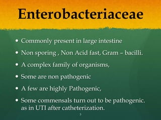 Enterobacteriaceae
 Commonly present in large intestine
 Non sporing , Non Acid fast, Gram – bacilli.
 A complex family of organisms,
 Some are non pathogenic
 A few are highly Pathogenic,
 Some commensals turn out to be pathogenic.
as in UTI after catheterization.
3
 
