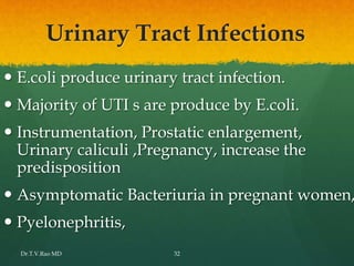 Urinary Tract Infections
 E.coli produce urinary tract infection.
 Majority of UTI s are produce by E.coli.
 Instrumentation, Prostatic enlargement,
Urinary caliculi ,Pregnancy, increase the
predisposition
 Asymptomatic Bacteriuria in pregnant women,
 Pyelonephritis,
Dr.T.V.Rao MD 32
 