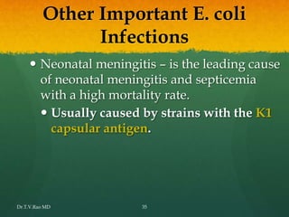 Other Important E. coli
Infections
 Neonatal meningitis – is the leading cause
of neonatal meningitis and septicemia
with a high mortality rate.
 Usually caused by strains with the K1
capsular antigen.
Dr.T.V.Rao MD 35
 