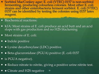  Sorbitol MacConkey agar: E. coli (VTEC) 0157 is non-sorbitol
fermenting, producing colourless colonies. Most other E. coli
strains and other enterobacteria ferment sorbitol. E. coli (VTEC)
0157 can be identified by testing the colonies using 0157 latex
reagent.
 Biochemical reactions:
 KIA: Most strains of E. coli produce an acid butt and an acid
slope with gas production and no H2S blackening
 Most strains of E. coli:
 ● Indole positive
 ● Lysine decarboxylase (LDC) positive.
 ● Beta-glucuronidase (PGUA) positive (E. coli 0157
 is PGUA negative).
 ● Reduce nitrate to nitrite, giving a positive urine nitrite test.
 ● Citrate and H2S negative 38
 