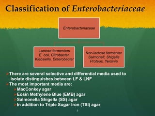 Classification of Enterobacteriaceae
Enterobacteriaceae
Lactose fermenters
E. coli, Citrobacter,
Klebsiella, Enterobacter
Non-lactose fermenter
Salmonell, Shigella
Proteus, Yersinia
There are several selective and differential media used to
isolate distinguishes between LF & LNF
The most important media are:
MacConkey agar
Eosin Methylene Blue (EMB) agar
Salmonella Shigella (SS) agar
In addition to Triple Sugar Iron (TSI) agar
5
 