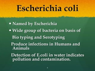 Escherichia coli
 Named by Escherichia
 Wide group of bacteria on basis of
Bio typing and Serotyping
Produce infections in Humans and
Animals
Detection of E.coli in water indicates
pollution and contamination.
6
 
