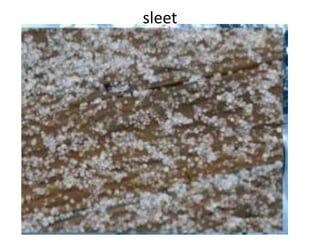 sleet
 