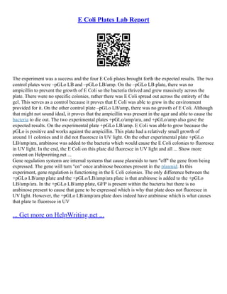 E Coli Plates Lab Report
The experiment was a success and the four E Coli plates brought forth the expected results. The two
control plates were –pGLo LB and –pGLo LB/amp. On the –pGLo LB plate, there was no
ampicillin to prevent the growth of E Coli so the bacteria thrived and grew massively across the
plate. There were no specific colonies, rather there was E Coli spread out across the entirety of the
gel. This serves as a control because it proves that E Coli was able to grow in the environment
provided for it. On the other control plate –pGLo LB/amp, there was no growth of E Coli. Although
that might not sound ideal, it proves that the ampicillin was present in the agar and able to cause the
bacteria to die out. The two experimental plates +pGLo/amp/ara, and +pGLo/amp also gave the
expected results. On the experimental plate +pGLo LB/amp. E Coli was able to grow because the
pGLo is positive and works against the ampicillin. This plate had a relatively small growth of
around 11 colonies and it did not fluoresce in UV light. On the other experimental plate +pGLo
LB/amp/ara, arabinose was added to the bacteria which would cause the E Coli colonies to fluoresce
in UV light. In the end, the E Coli on this plate did fluoresce in UV light and all ... Show more
content on Helpwriting.net ...
Gene regulation systems are internal systems that cause plasmids to turn "off" the gene from being
expressed. The gene will turn "on" once arabinose becomes present in the plasmid. In this
experiment, gene regulation is functioning in the E Coli colonies. The only difference between the
+pGLo LB/amp plate and the +pGLo/LB/amp/ara plate is that arabinose is added to the +pGLo
LB/amp/ara. In the +pGLo LB/amp plate, GFP is present within the bacteria but there is no
arabinose present to cause that gene to be expressed which is why that plate does not fluoresce in
UV light. However, the +pGLo LB/amp/ara plate does indeed have arabinose which is what causes
that plate to fluoresce in UV
... Get more on HelpWriting.net ...
 