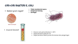 bakteri e. coli escherichia coli dengan Gastroesophageal reflux disease ...