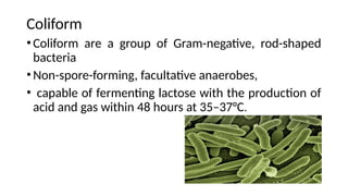 Escherichia coli in Medical Microbiology.pptx