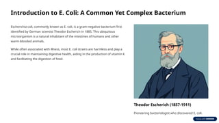 E. Coli: Understanding Its Biology, Impact, and Role in Medicine | PPTX