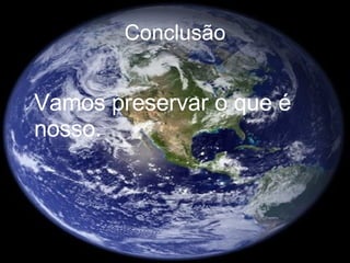 Conclusão Vamos preservar o que é nosso. 