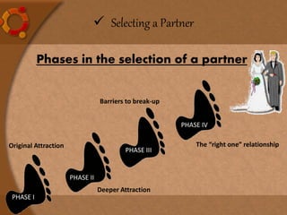 Phases in the selection of a partner
PHASE I
PHASE II
PHASE III
PHASE IV
 Selecting a Partner
Original Attraction
Barriers to break-up
The “right one” relationship
Deeper Attraction
 